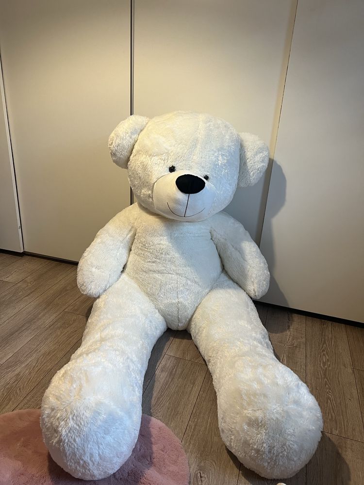 Miś pluszowy XXl