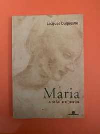 Maria: Mãe de Jesus - Jacques Duquesne