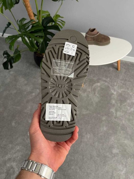 Зимові Жіночі Уггі UGG Tasman Platform Sock 36-41 (Без Предоплати)