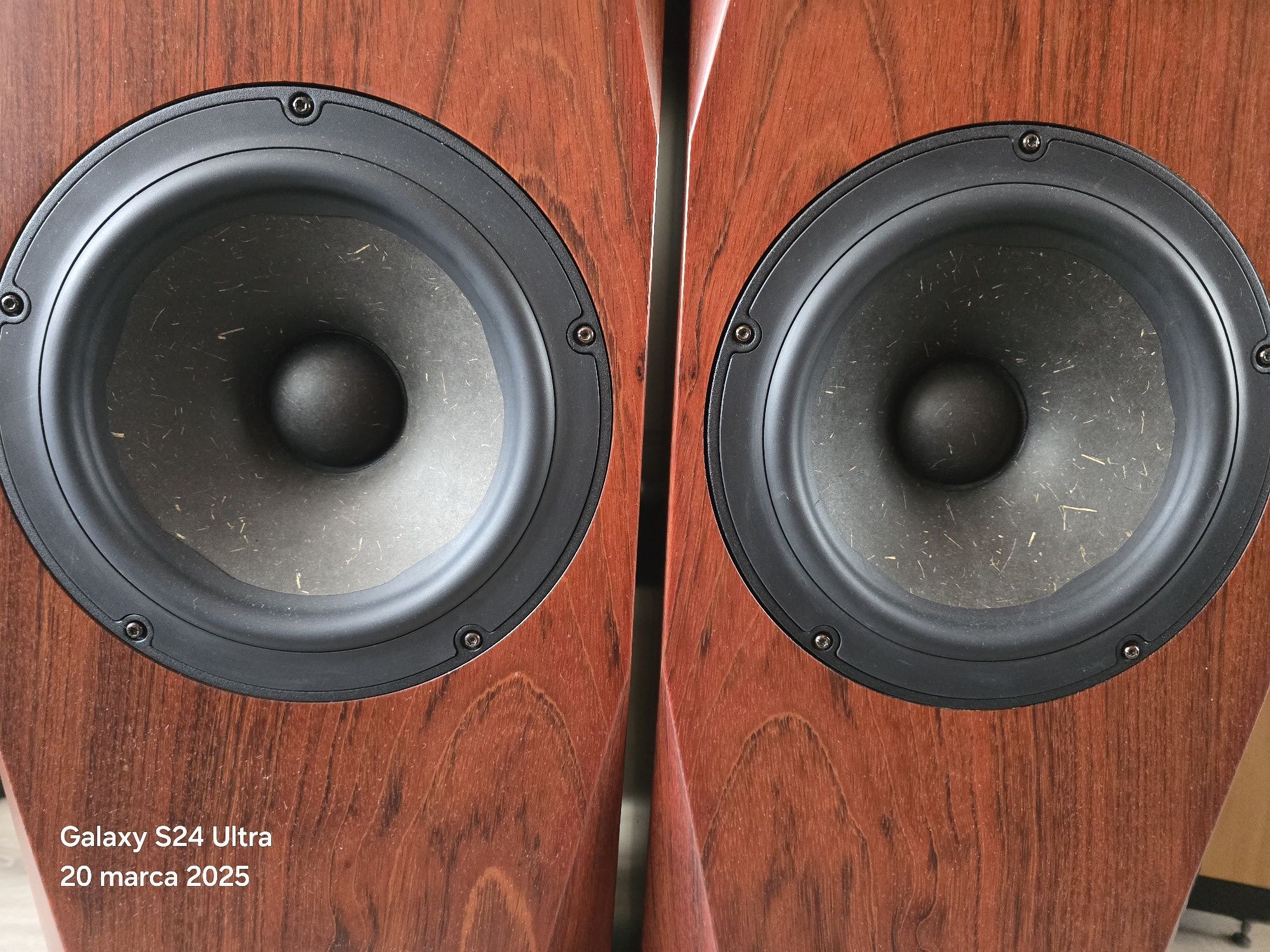 CNC AUDIO.  Vifa ne, morel, Diy