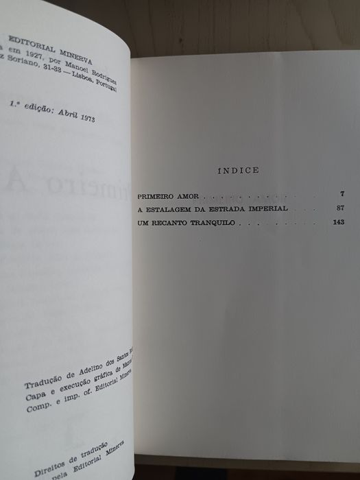 Turgueniev, Primeiro Amor