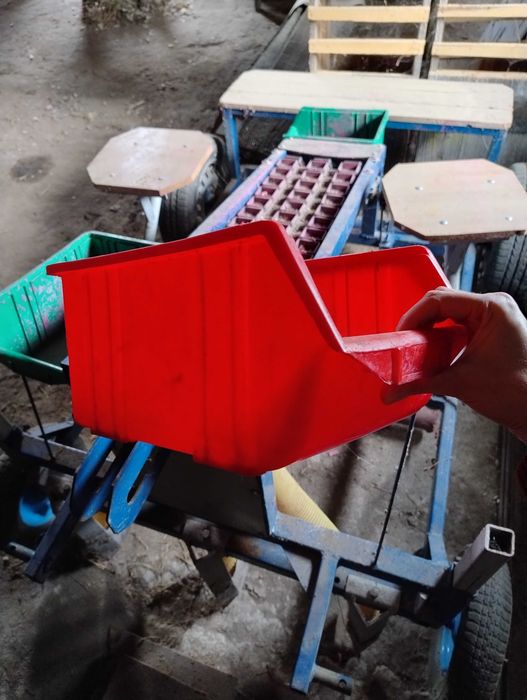 Sadzarka do czosnku i cebuli