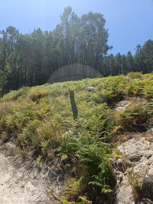 Terreno  para venda