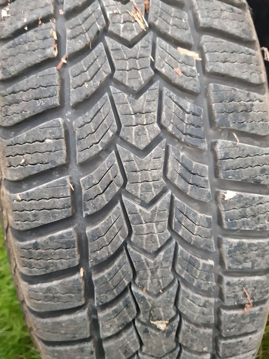 Opony zimowe 195/65/15