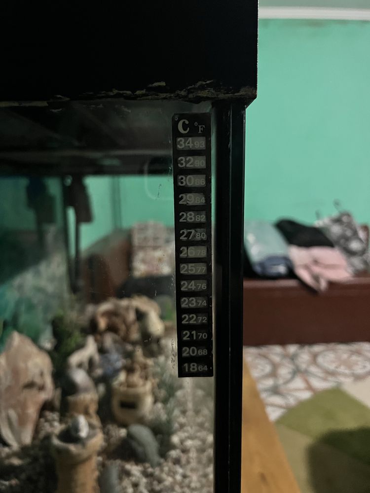 Акваріум 540 літрів