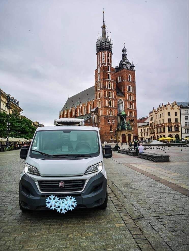 Mobilna lodówka , wynajem chłodni zasialanie 230 v