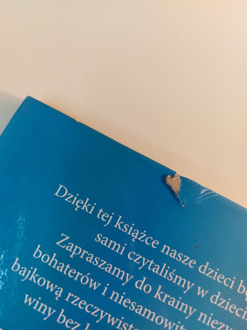 Bajki dla chłopców Fenix