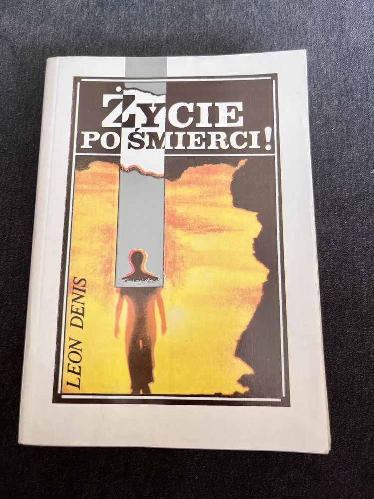 Życie po śmierci , Leon Denis