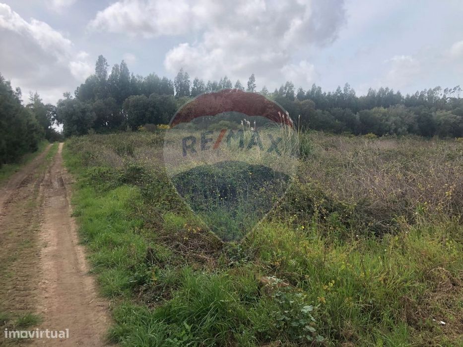 Terreno  para venda