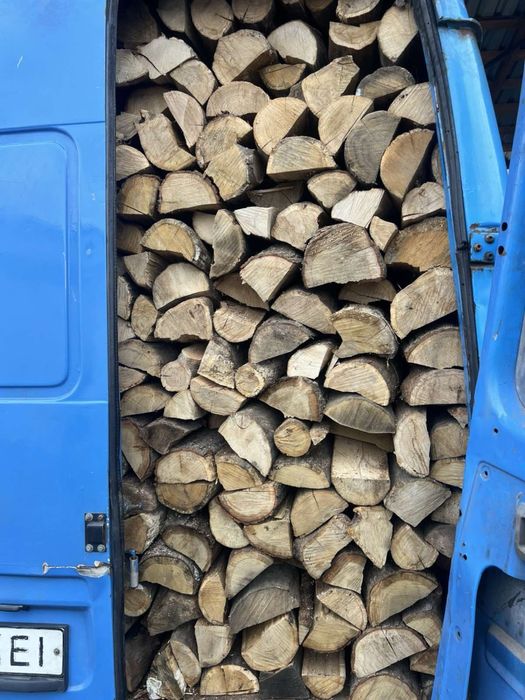 ДРОВА Дуб  Колоті