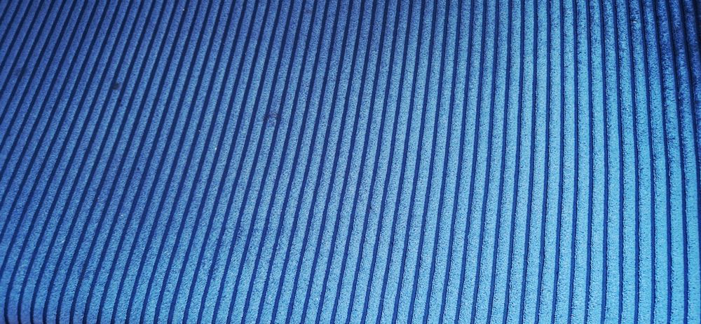 Kanapa uszak, niebieska