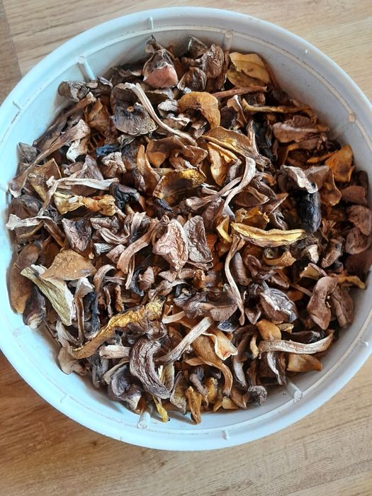 grzyby suszone mieszane 2025