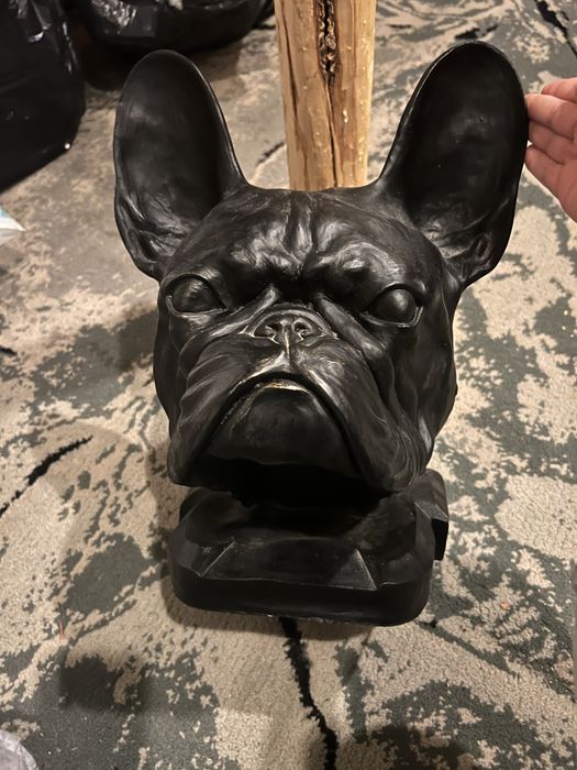 Głowa Buldoga Francuskiego (Nowa)