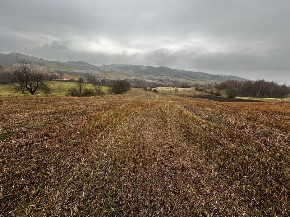 Sprzedam 2 działki w Gostkowie 1,38 i 0,301 ha
