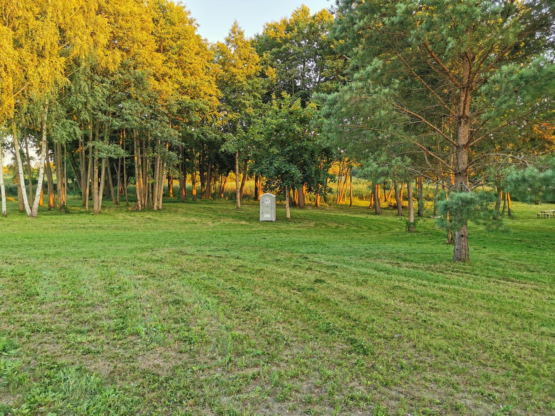 Koszenie traw, działek, ogrodów.