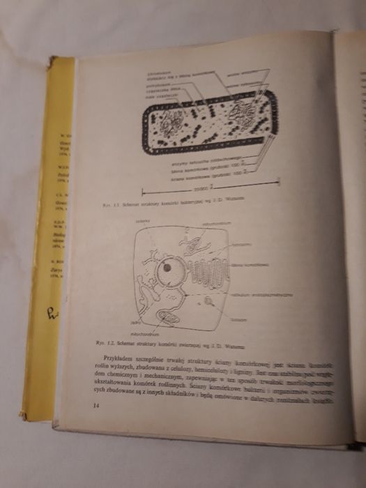 Biochemia Dla Biologów TROJANOWSKI JERZY