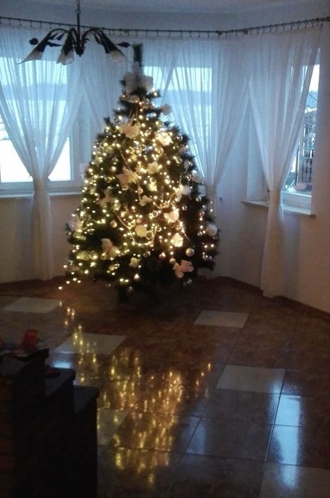 Choinka sztuczna jodła czy tam sosna kaukaska