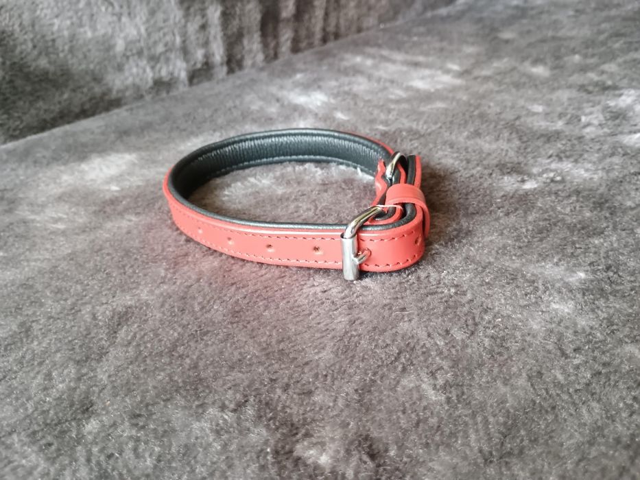 Obroża skórzana dla psa Schnüffelfreunde