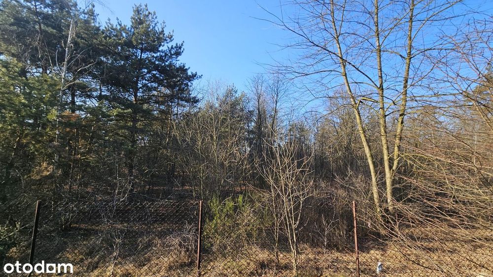 Chotomów działka budowlana 1265m2, las, blisko PKP