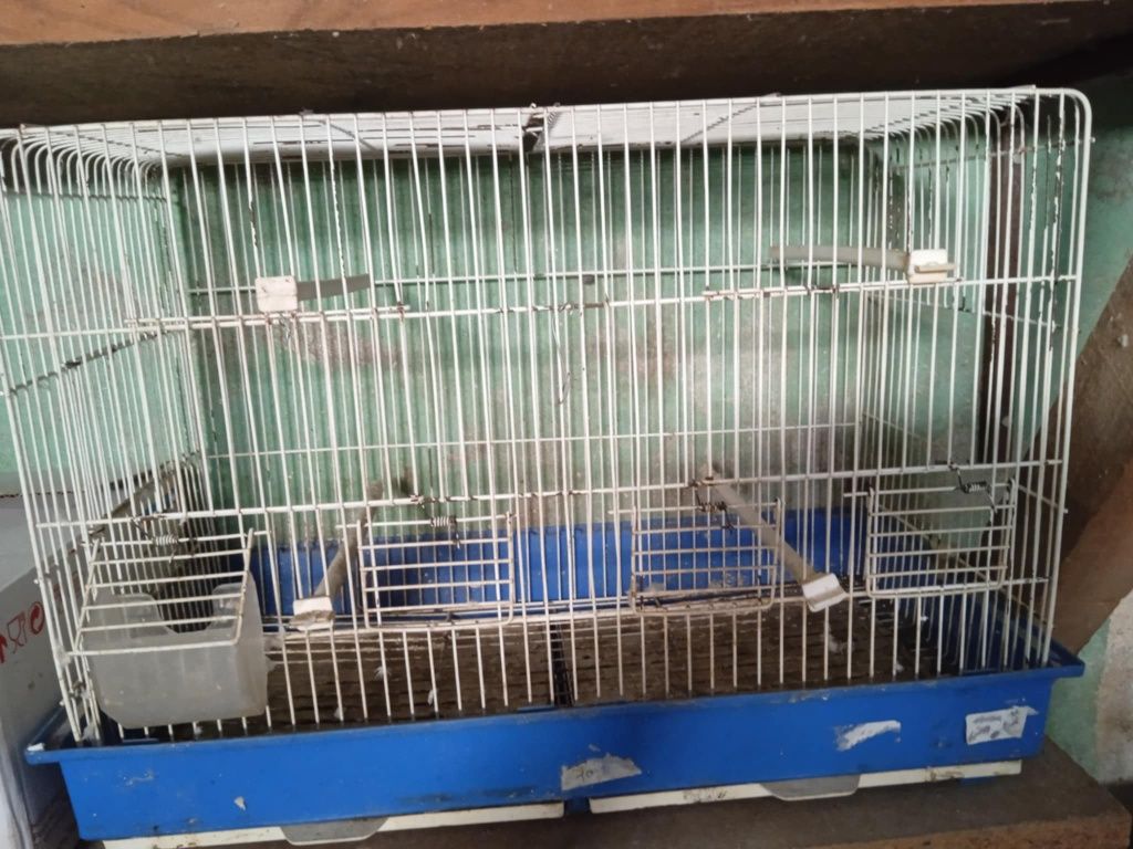 Gaiola para pássaros