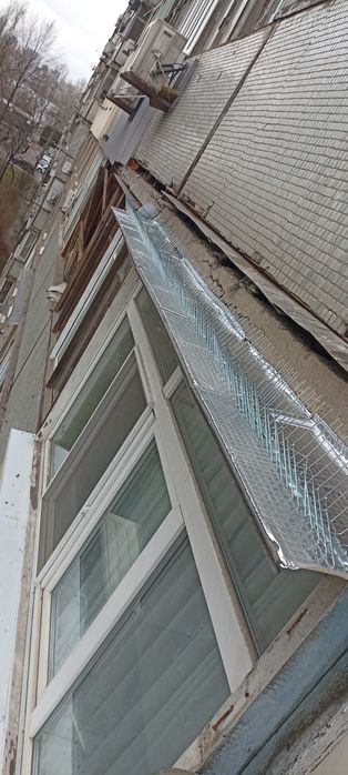 Ремонт межпанельных швов, ремонт мягкой кровли, монтаж шипы от голубей