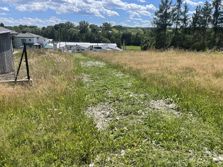 Działka 11a - wyplantowana z dojazdem (Pilzno)