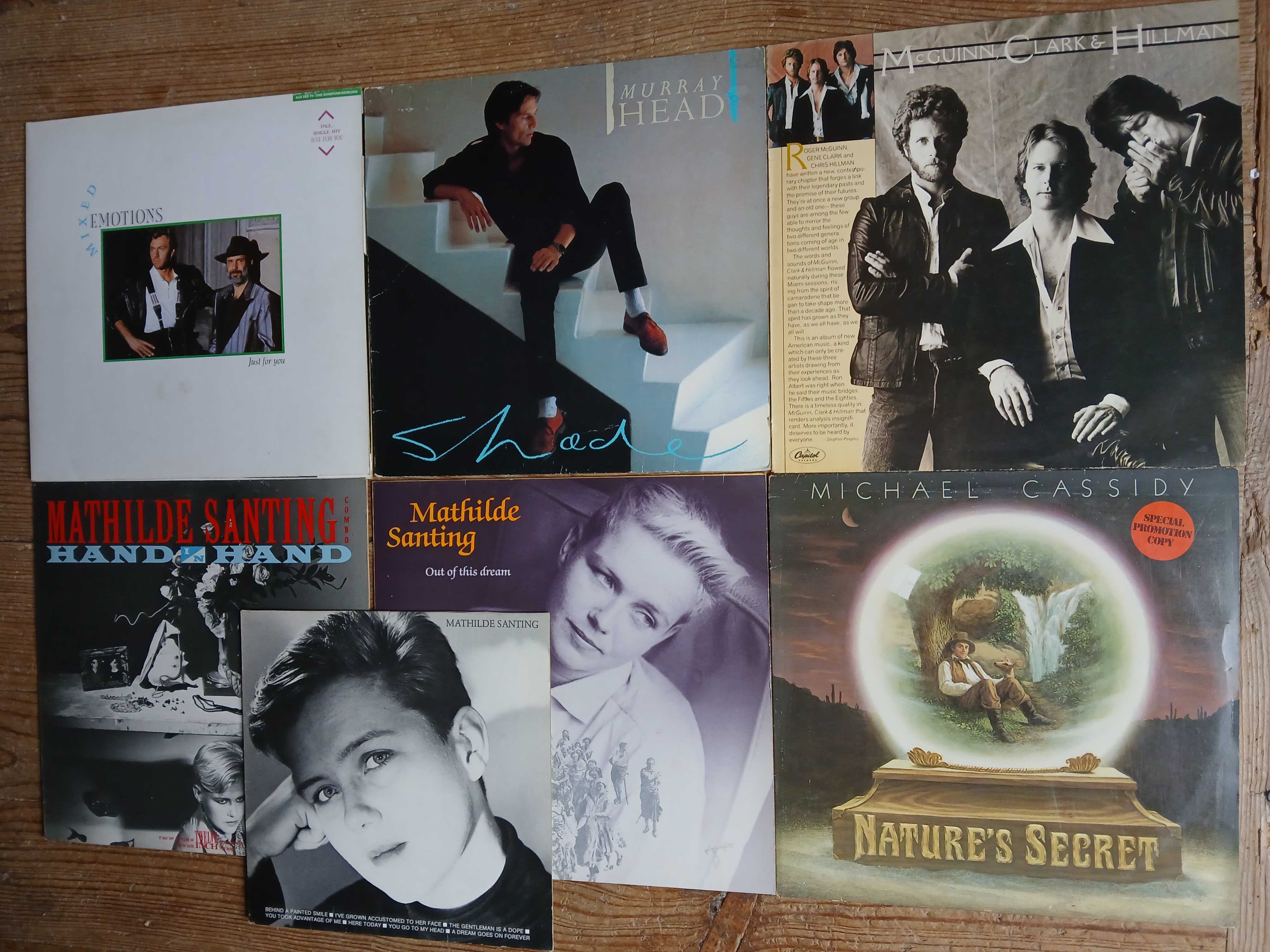 COLEÇÃO  Vinil lp M