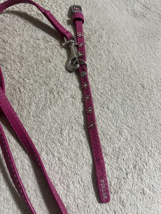 Ошейник, поводок