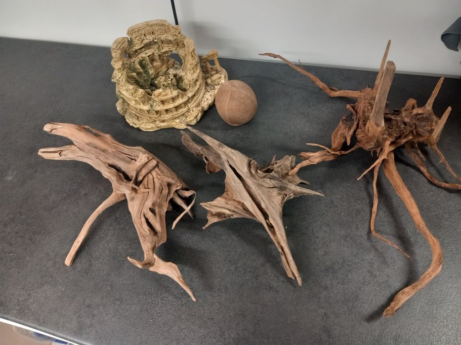 Korzeńie akwarystyczne