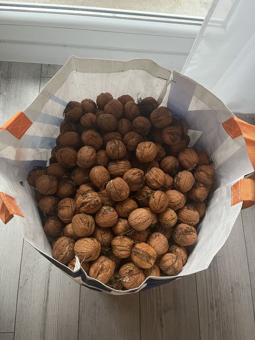 Orzechy włoskie prima sort 5 kg