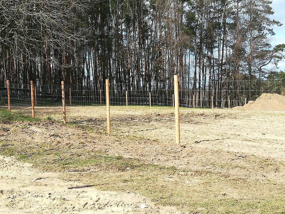 Siatka Leśna.Ogrodzenia tymczasowe. Grube słupkiMontaż
