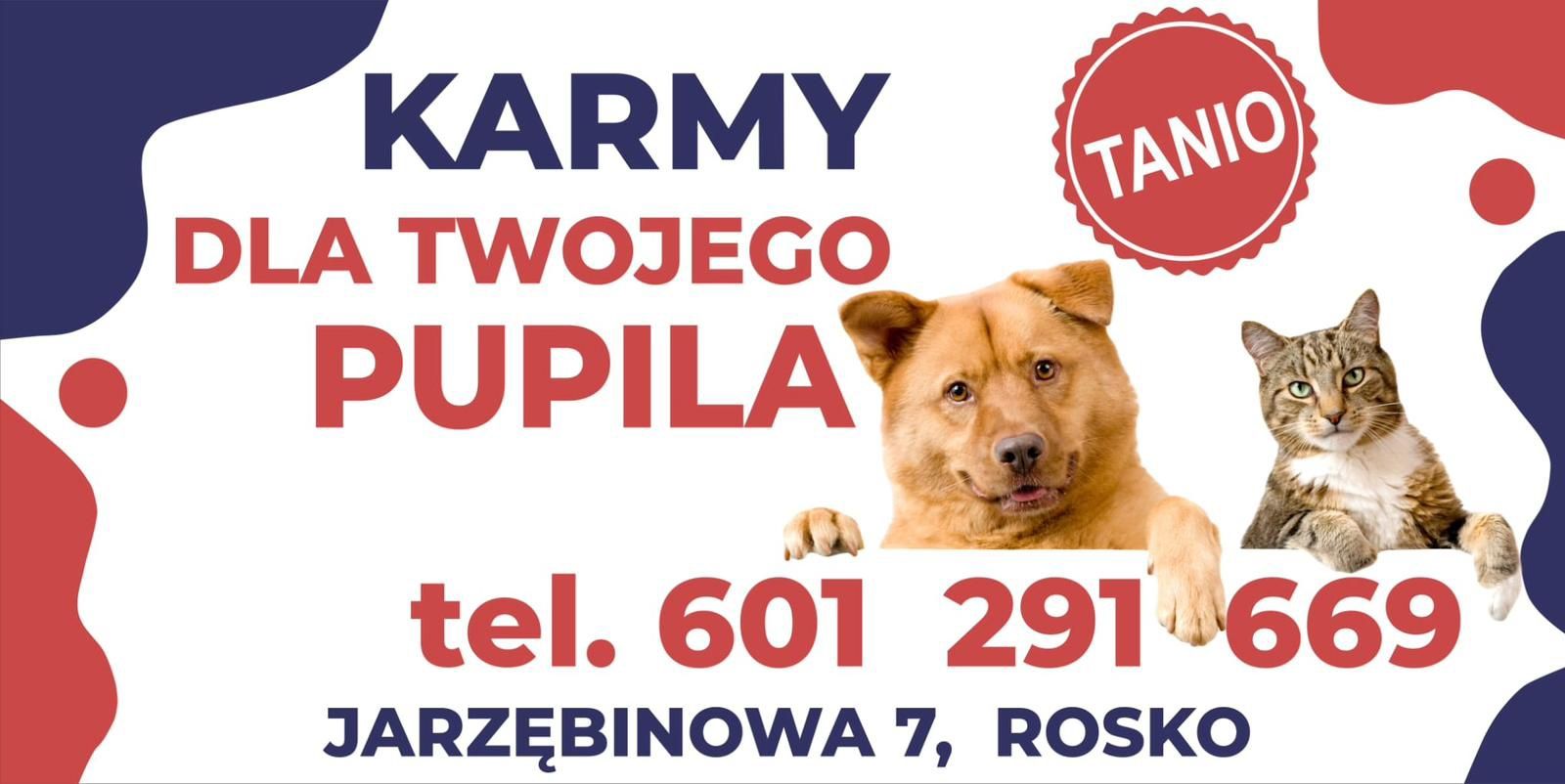 12x800g Feringa Classic Meat kurczak z pstrągiem bez ZBÓŻ Wysokiej jak