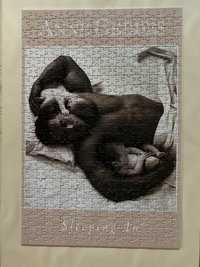 Puzzle Anne Geddes 750elementów, Mężczyzna śpiący z dwojgiem dzieci