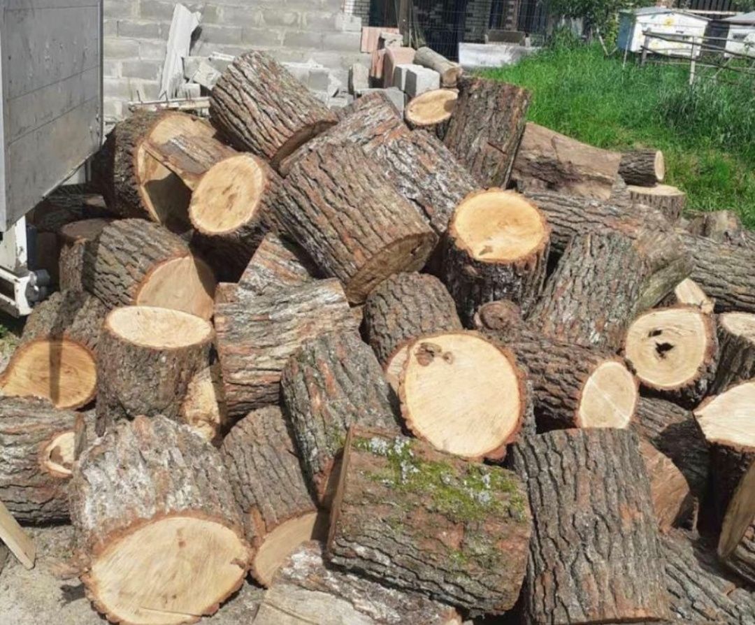Стрижка газона, покос травы, спил деревьев.