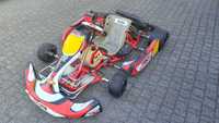 GOKART DR (CRG) Rotax Evo Max Senior 2021