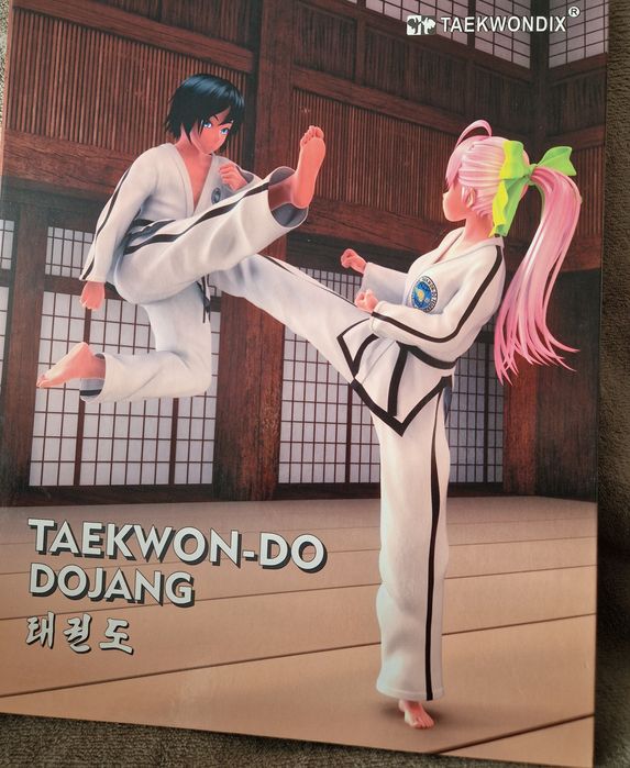 Album z kartami taekwondo