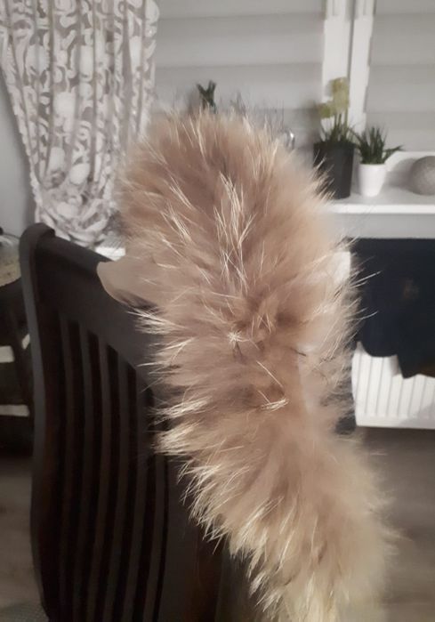 Skogstad  ocieplana jenot futerko naturalne