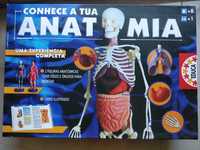 Jogo "Conhece a tua Anatomia" - EDUCA