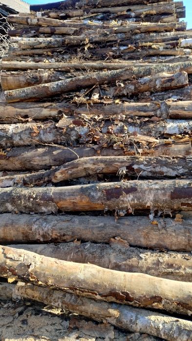 Drzewo drewno kominkowe opałowe rozpałkowe transport