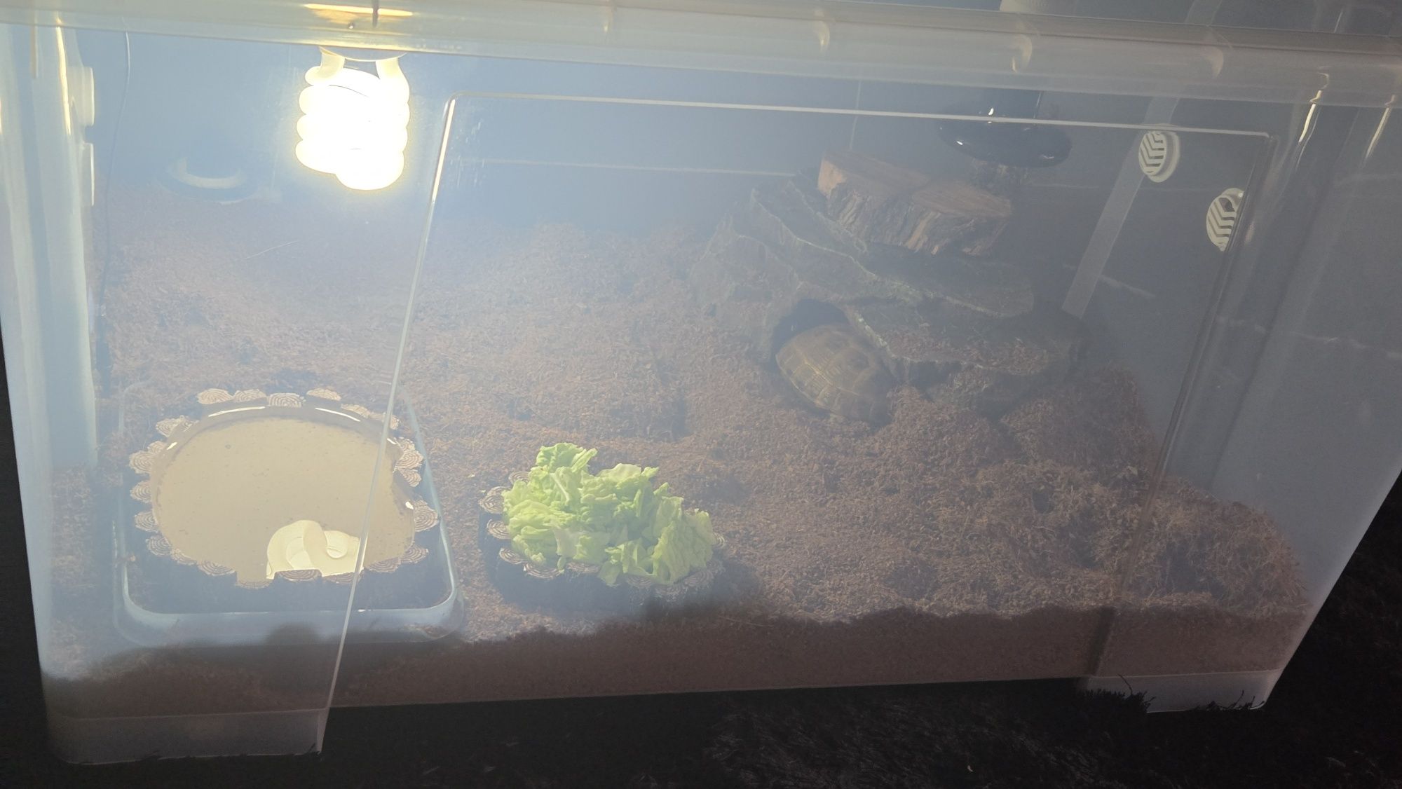 Terrario para tartaruga