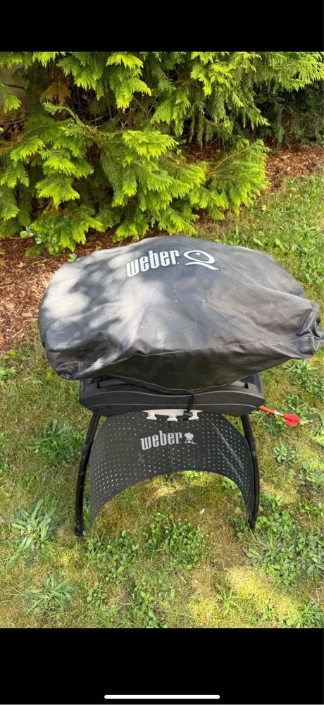 Гриль газовый Weber q