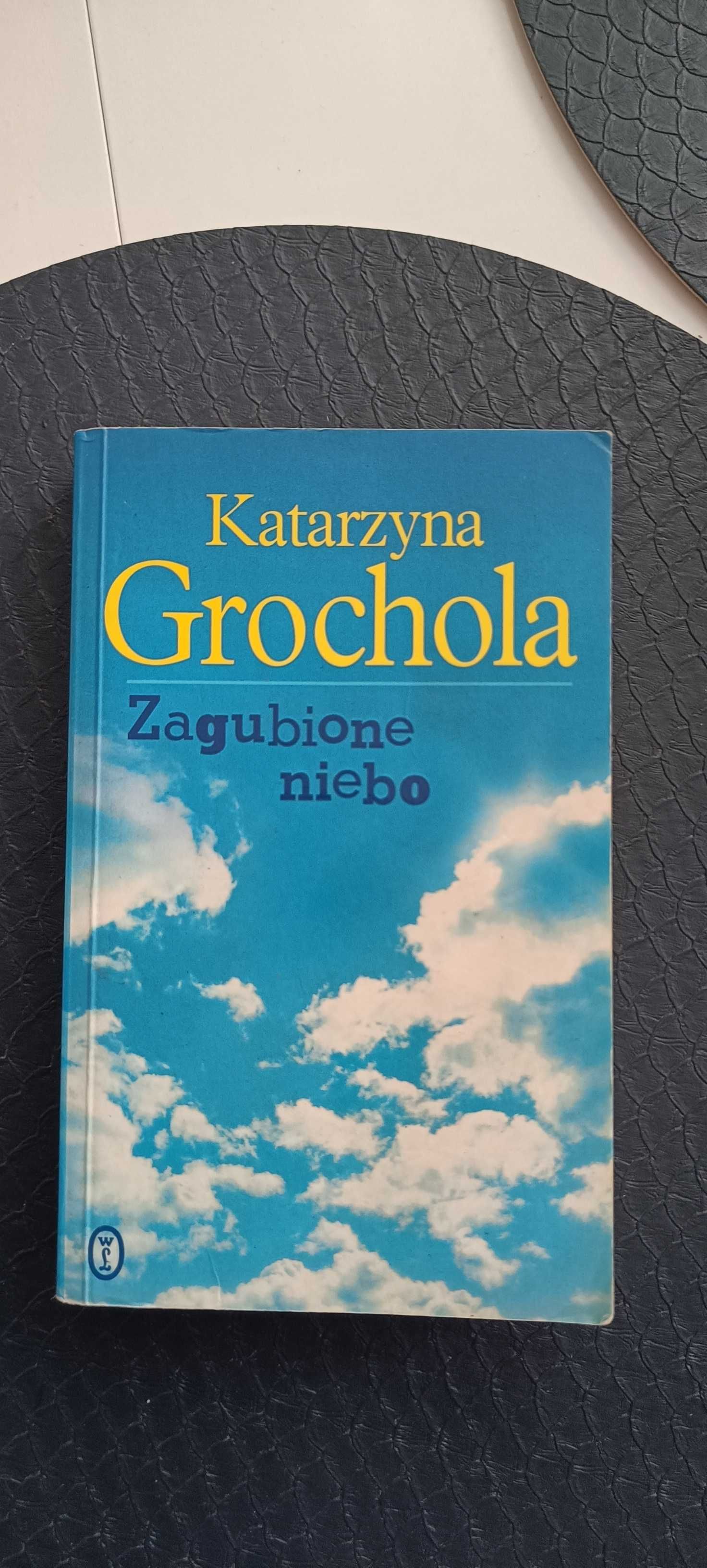 Zagubione niebo - Katarzyna Grochola - książka