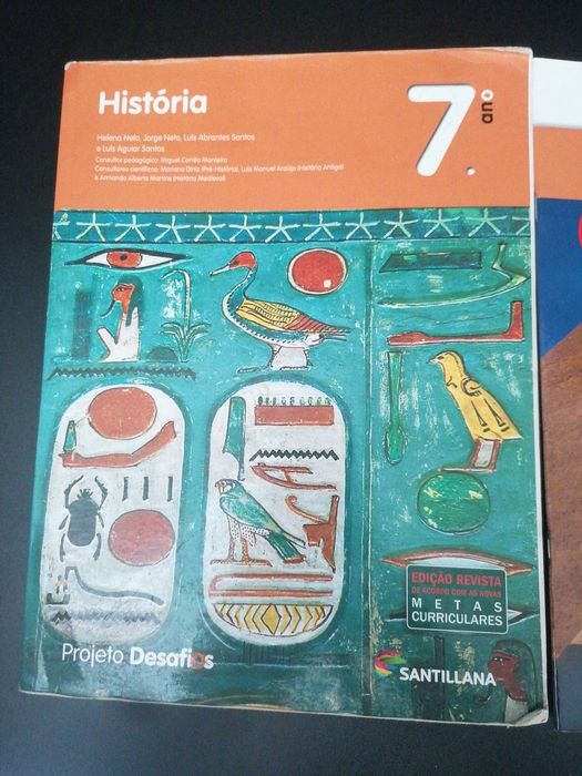 História projeto desafios 7º ano