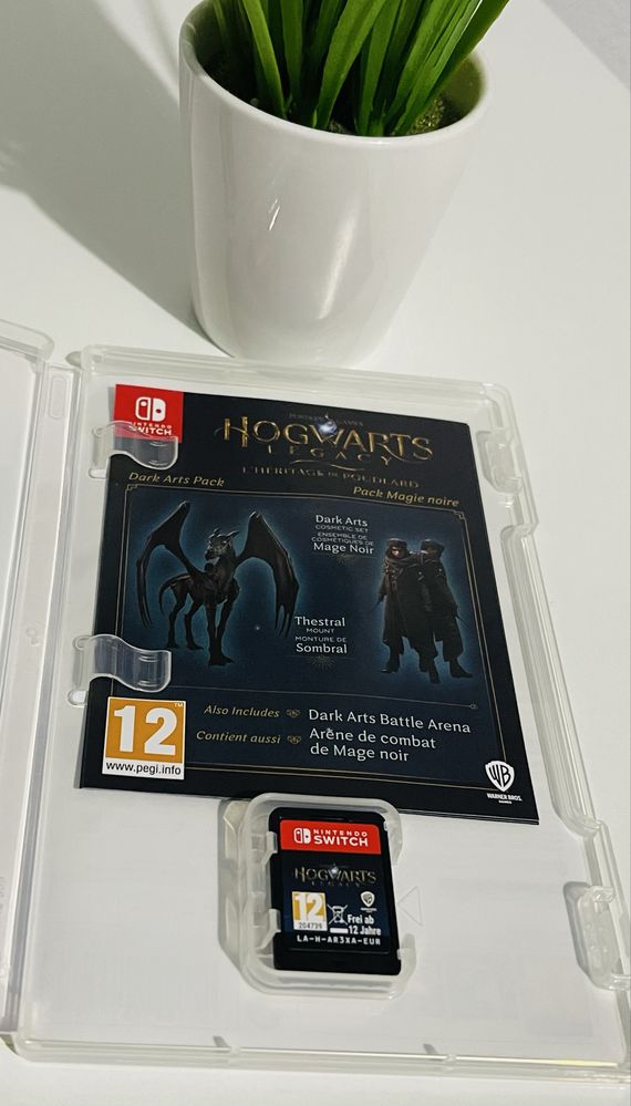 Nintendo Switch - Hogwarts Legacy