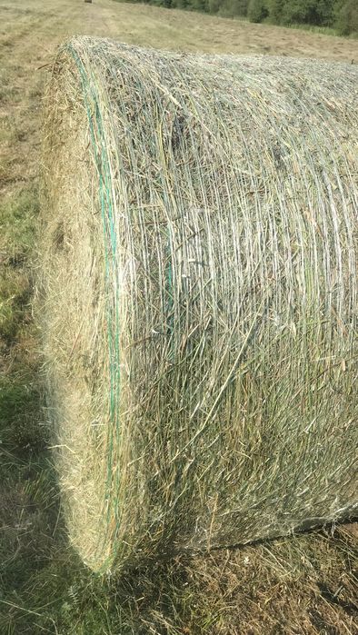 Produkty rolne siano