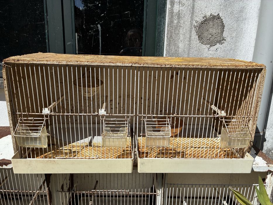 Gaiolão para pássaro