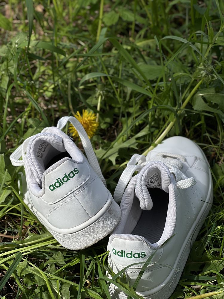 Кеди adidas advantage оригінал