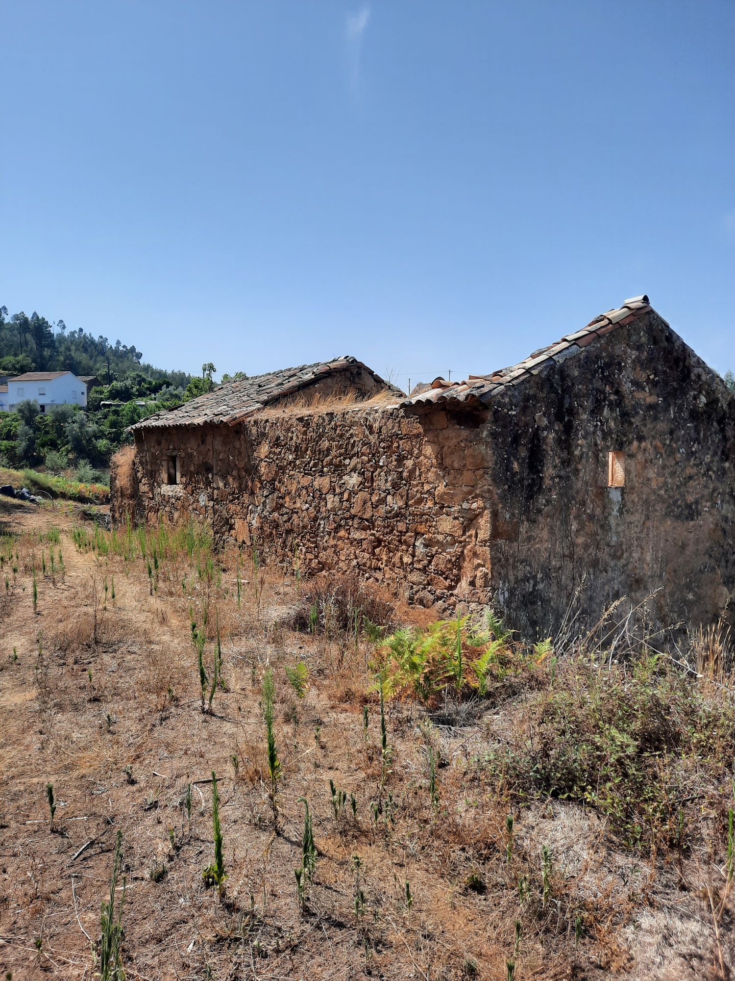 2 terrenos c/casas-Matos Pampillhal-C.Bonjardim-Sertã-Preço negociável