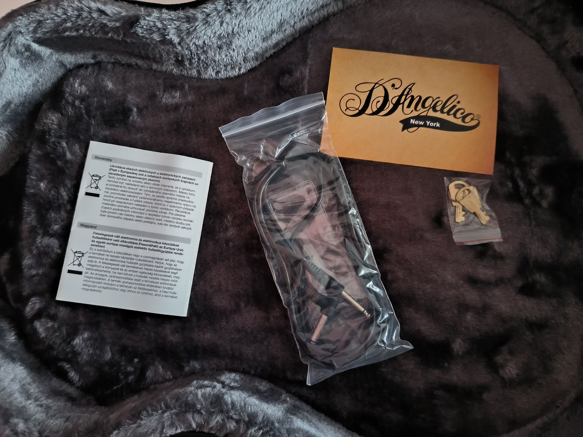 D'angelico Excel DC Vintage Natural