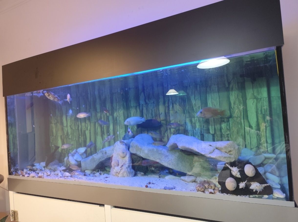 Aquário  de 530 litros